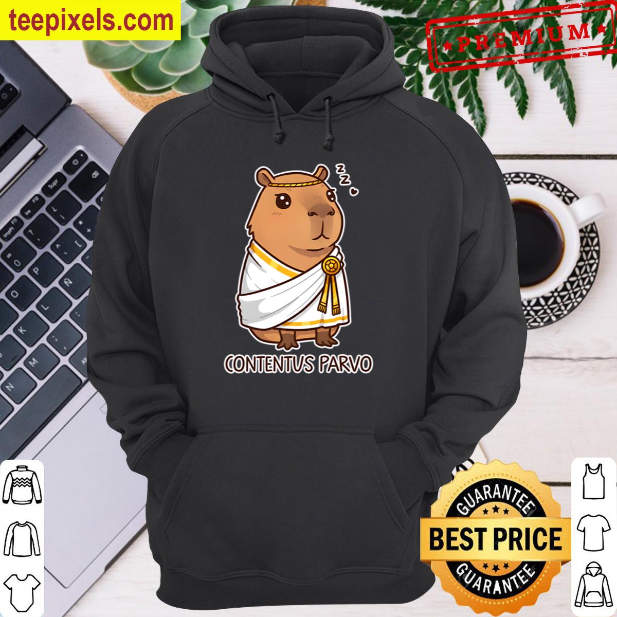 Capybara Philosophized With A Toga And Simple Tee Shirt